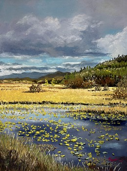 medimont morning 16x12 2