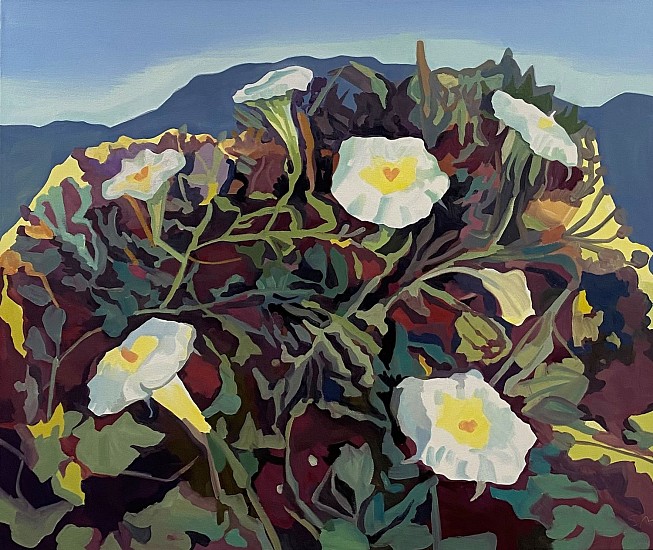 Sheila Miles, Datura Blooms
oil